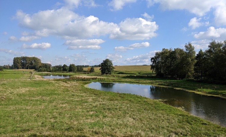 De bijkomende vijvers van Terneppe in 2024 : de reuzen stappen